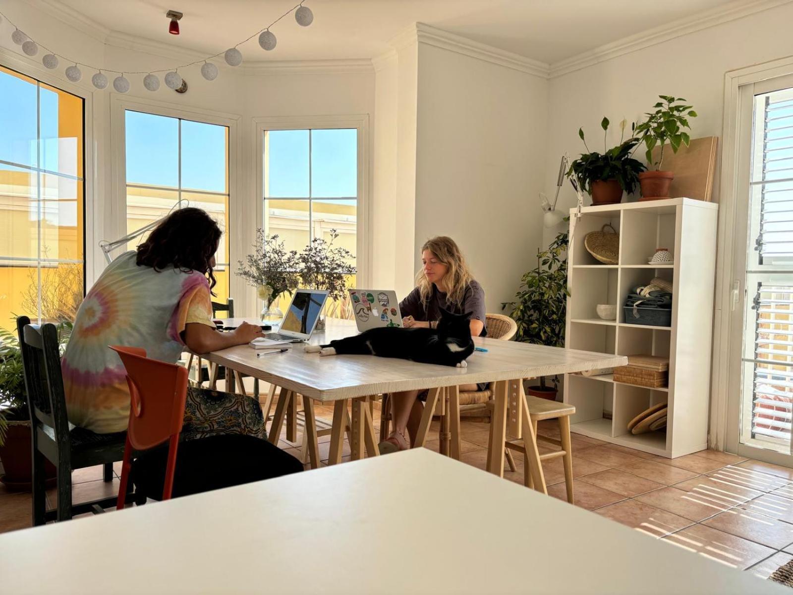 Medano Beach Coliving El Médano Exteriér fotografie